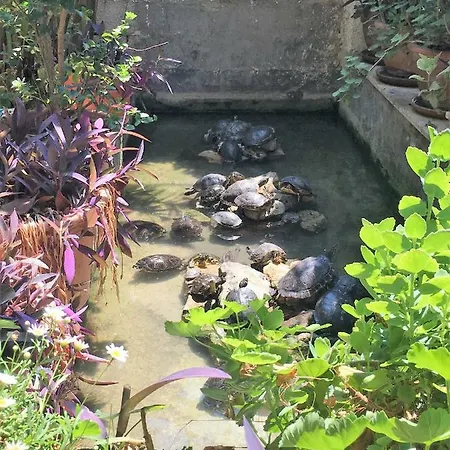 奥熙德尔家比亚诺住宿加早餐旅馆 住宿加早餐酒店 3*