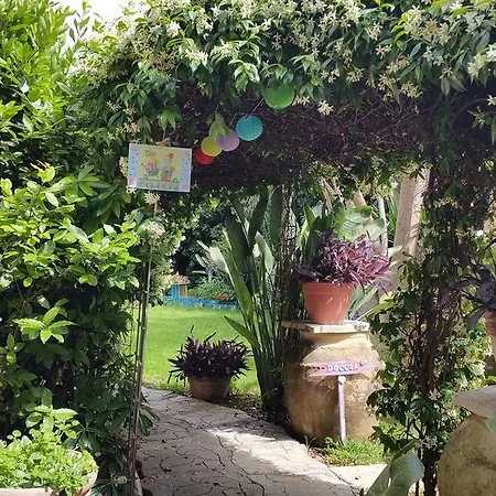 Oasi Del Gabbiano B&B 3*